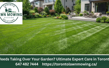 Weeds Taking Over Your Garden? Ultimate Expert Care in Toronto
