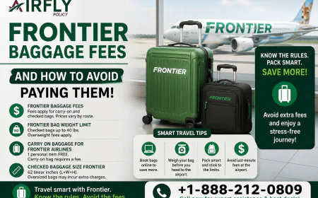 Frontier Baggage Fees and How to Avoid Paying Them