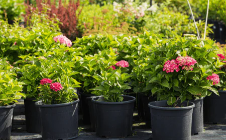 How Proper Garden Maintenance Saves Time and Reduces Landscaping Costs