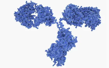 Hantavirus Research Reagents and Products to Accelerate Global Diagnostic and Vaccine Research