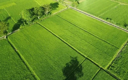 Exploring Century Plots Yelahanka and Mysore for Future Homebuyers
