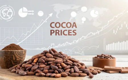 Cocoa Price Index Chart with Trend Insights and Quarterly Forecast Prices