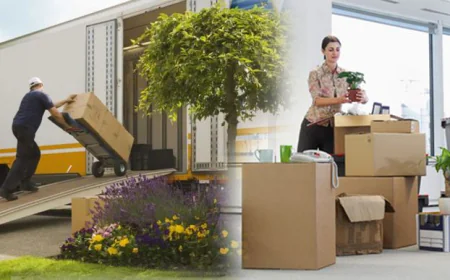 What to Expect When Working with Professional Movers