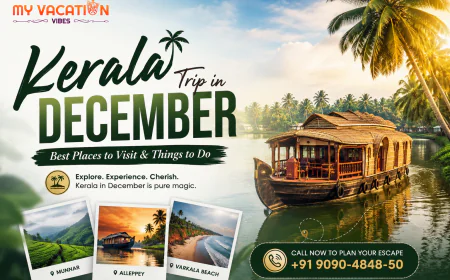 Kerala Trip in December: Best Places to Visit & Things to Do