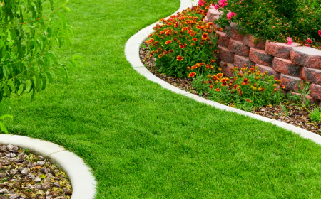 Commercial Landscaping Services in Arlington TX: Creating Professional and Attractive Business Landscapes