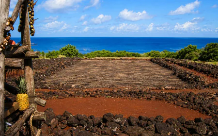 What Are the Most Sacred Places in Hawaii?