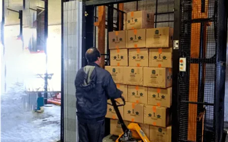 Twin Mast Hydraulic Goods Lift | Avcon System
