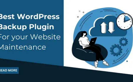 WordPress Backup Plugin: Protect Your Website with WPDemi