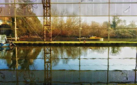Dairy Farm Water Treatment: The Complete Guide to Cleaner Water, Healthier Livestock, and Algae-Free Dugouts in Alberta