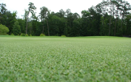 How to Choose the Best Artificial Turf in Adelaide for Your Home and Garden