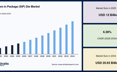 System in Package Die Market Size and Future Opportunities
