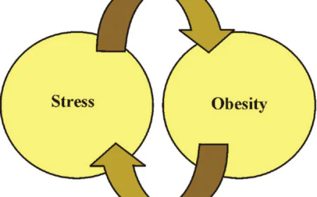 Chronic Stress Obesity Causes: Understanding the Connection with LeanAndFit