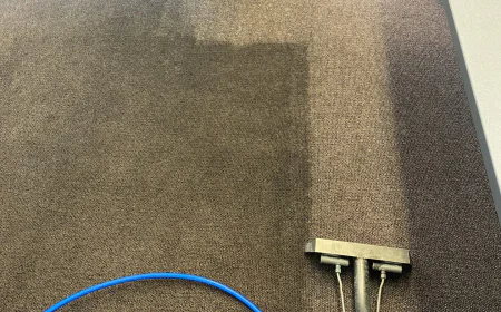 Why a Professional Carpet Rug Cleaning Service Is Essential for Every Home