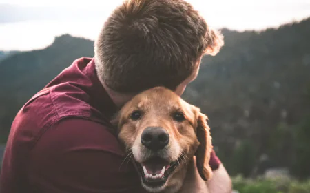 Busy Schedules Become Easier with Trusted Doggy Daycare Salem Oregon