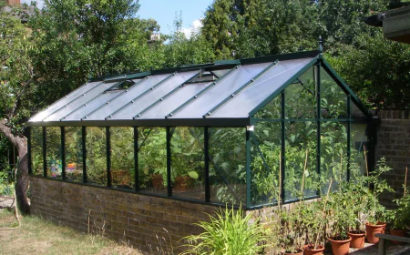 Greenhouse Protection That Helps Every Harvest Grow