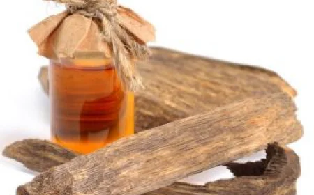 Pure Oud: Your Trusted Partner for Agarwood Oil Wholesale Worldwide