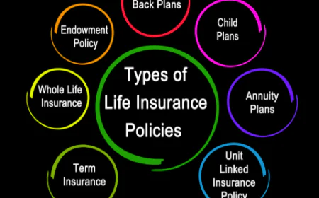 Navigating the Maze of Life Insurance Plans to Fit Your Goals