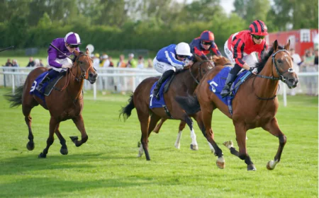 Chennai Horse Race Culture and Its Place in Indian Turf History