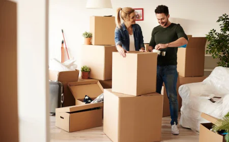 How to Choose the Best House Packing Service in Brockenhurst