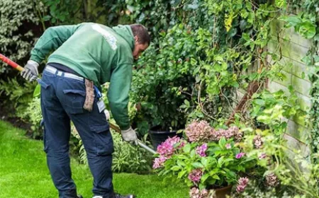 Expert Garden Maintenance and Landscape Design Services for Beautiful Outdoor Spaces