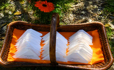 Butterfly Release for Funeral: A Meaningful Way to Honor a Loved One