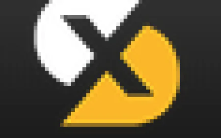 SkyExchange Art - An Informational Overview of the Online Betting Platform