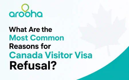 What Are the Most Common Reasons for Canada Visitor Visa Refusal?