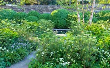 When Is the Best Time to Schedule Shrub Care Services?