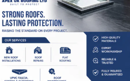 Roofing Services in Windsor: Keeping Your Roof Weather-Ready in Every Season