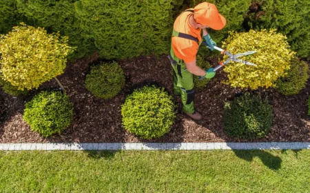 Grapevine Commercial Landscaping for Professional Property Enhancement