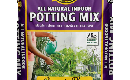 Discovering the Ultimate Raised Bed Gardening Guide for Growing Success