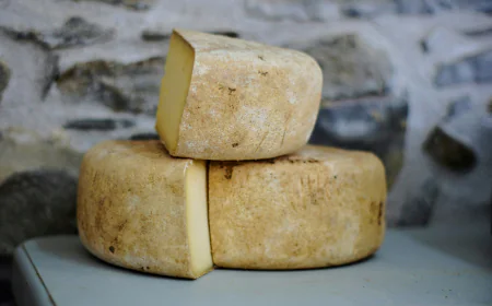 US Cheese Market Growth and Revenue Trends Forecast 2025-2033