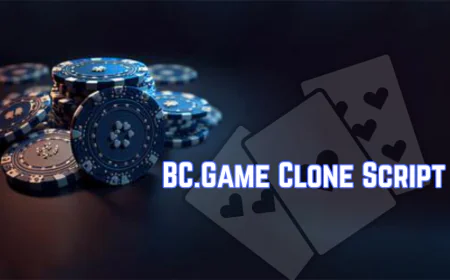 How the Star Wins Update Is Boosting Demand for BC.Game Clone Script Solutions?