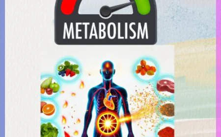 The Rise of Metabolic Health: What It Means and Why It Matters