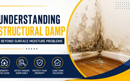 Understanding Structural Damp Beyond Surface Moisture Problems