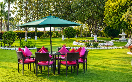 Tea Garden Tourism in India: Why Choose Tea Resorts