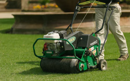 How Does Lawn Aeration Service Improve Soil Health?