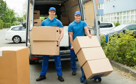 Why Choosing the Right Auckland Movers and Packers Makes All the Difference