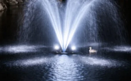 Floating Pond Fountain: Benefits and How to Choose the Right One