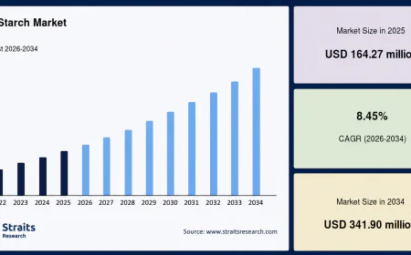 Pea Starch Market Share Analysis & Forecast 2026–2034