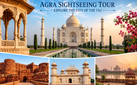 Agra Sightseeing Tour – Explore the Timeless Beauty of the City of the Taj