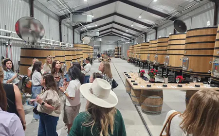 Exploring Texas Hill Country Wine Tours: A Guide for First-Time Visitors