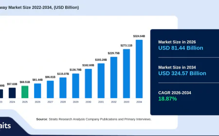 Smart Highway Market Outlook and Future Opportunities