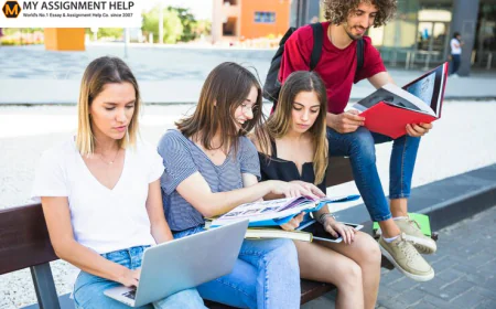 Academic Success Made Easier with Professional Assignment and Exam Support