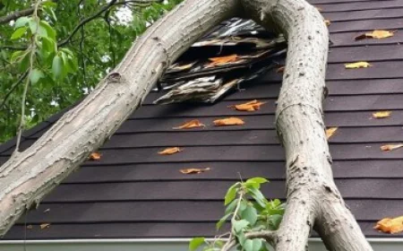 Storm Damage Repair Near Me: Find Trusted Local Help Fast