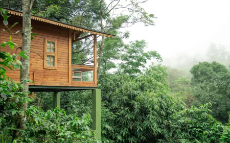 Plantation Resorts in Kerala: Discover Nature, Heritage & Luxury at Misty Mountain Experience
