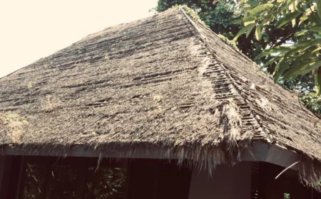 How a Reed Thatch Roof Enhances Outdoor Spaces with Natural Beauty