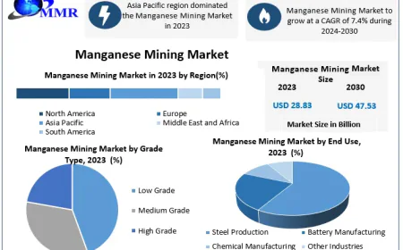 Manganese Mining Market Size, Development Analysis, and Business Opportunities