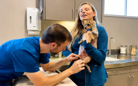 Why Should Pet Owners Prioritize Routine Veterinary Care for Dogs and Cats in Oakdale?