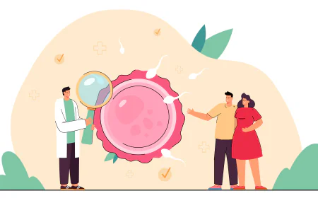 What to Expect During the Oocyte Donation Process